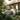 Compact water treatment system in garden