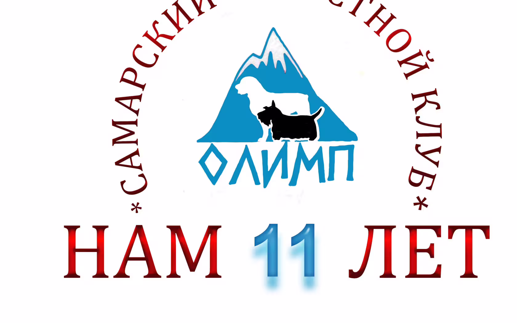 выставка собак с особым статусом Самара